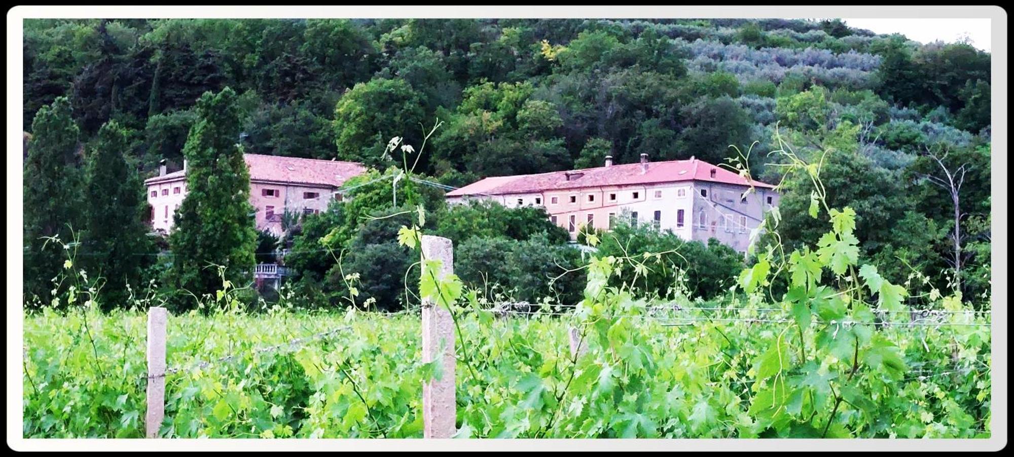 Agriturismo Andreis Alloggi Illasi Экстерьер фото